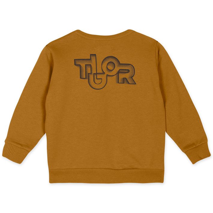 Blusao-Manga-Longa-Moletom-Masculino-Bebe-Tigor