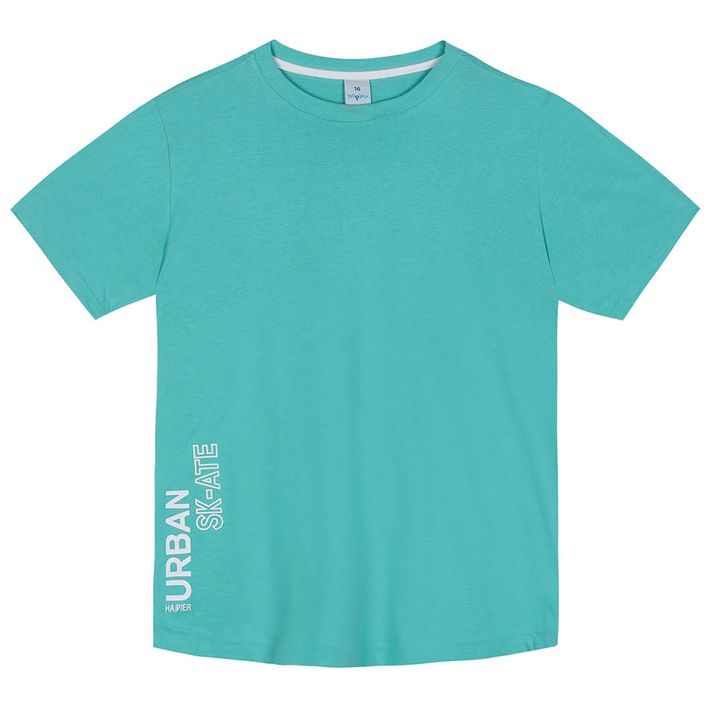 Camiseta-Manga-Curta-Juvenil-Masculina-Hapier