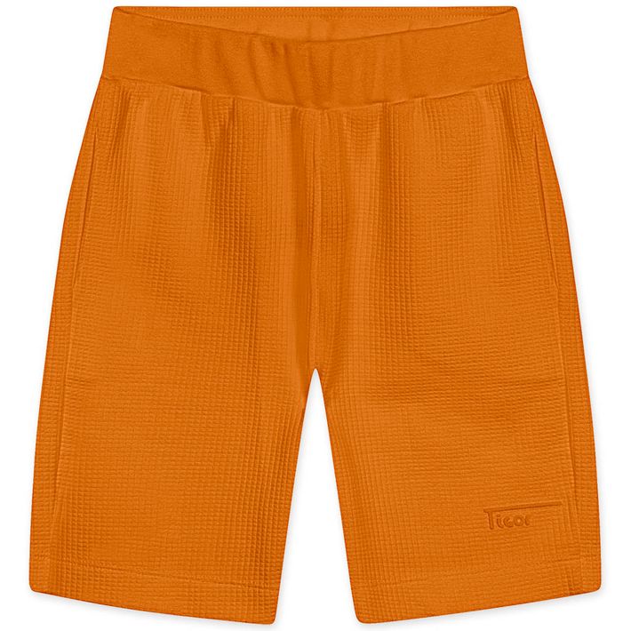 Bermuda-Infantil-Masculina-Tigor-T.-Tigre