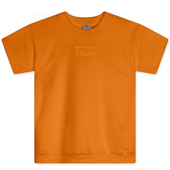 Camiseta-Manga-Curta-Infantil-Masculina-Tigor-T.-Tigre