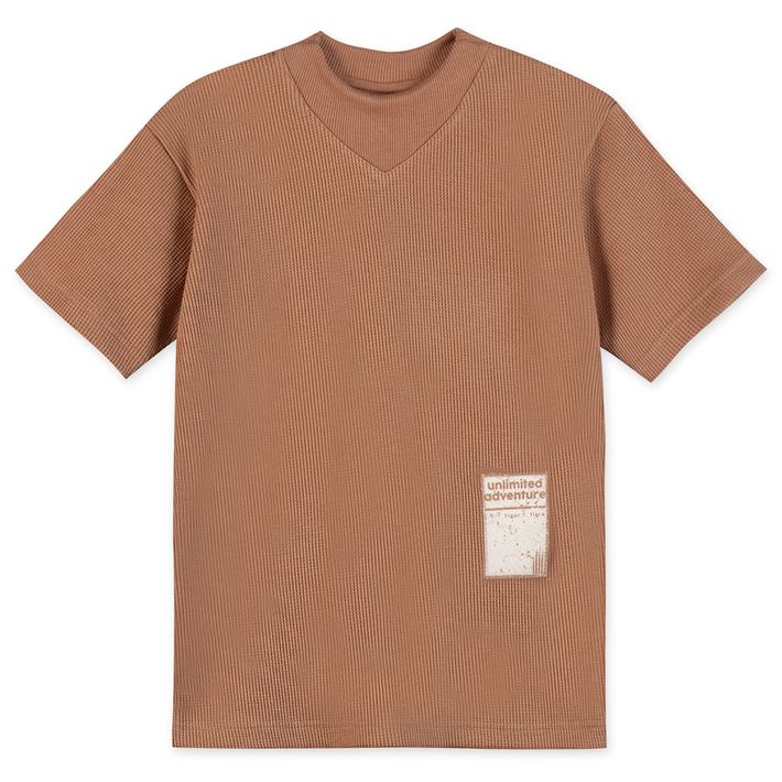 Camiseta-Infantil-Masculino-Tigor-T.-Tigre