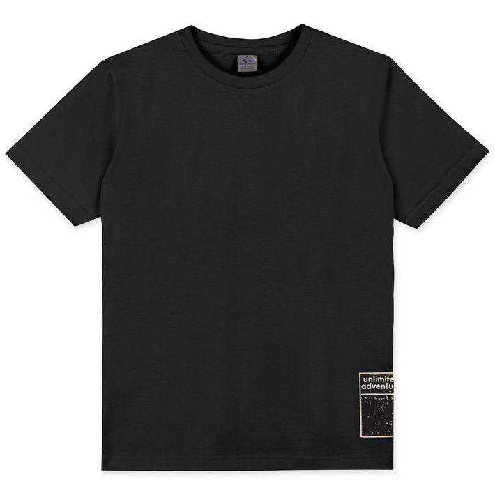 Camiseta-T-shirt-Infantil-Masculina-Tigor-T.-Tigre