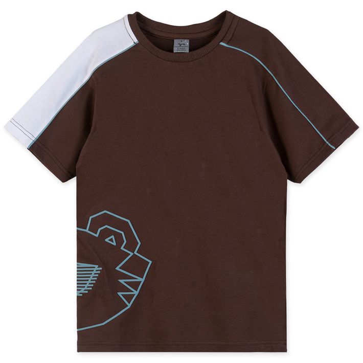 Camiseta-Manga-Curta-Infantil-Masculina-Tigor-T.-Tigre