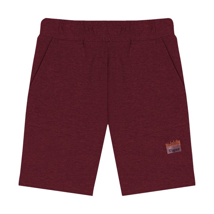 Bermuda-Moletom-Infantil-Masculina-Tigor-T.-Tigre---4