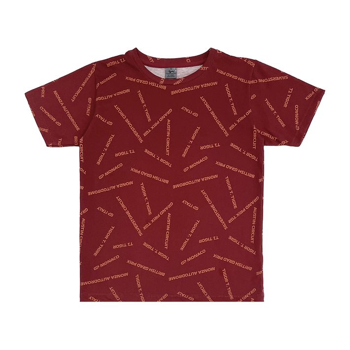 Camiseta-Infantil-Masculina-Tigor-T.-Tigre---4