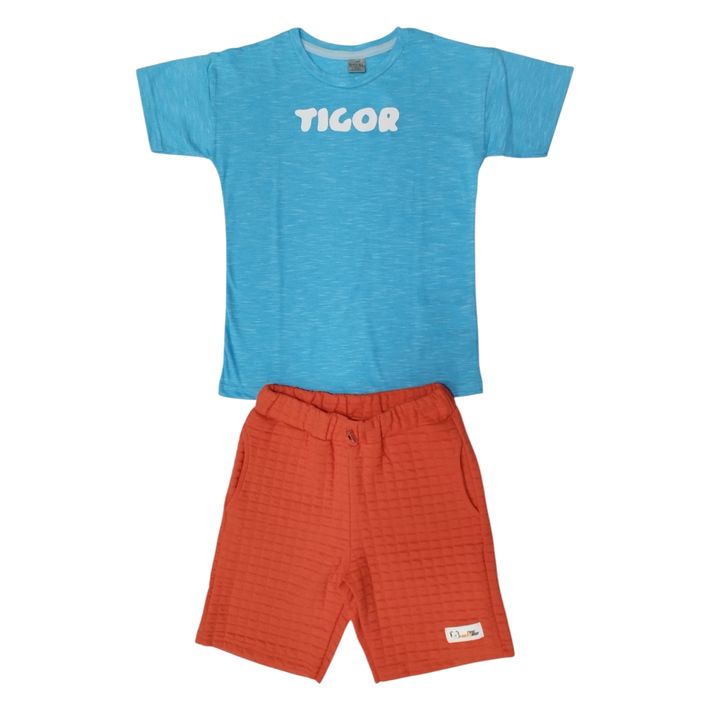 Conjunto-Curto-Menino-Tigor-T.-Tigre---5
